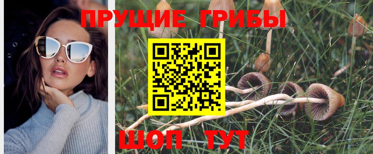 Галлюциногенные грибы прущие грибы  Вход с VPN  Гурьевск 