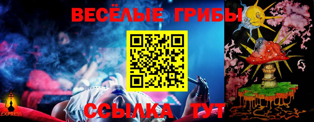 Псилоцибиновые грибы мухоморы Гурьевск
